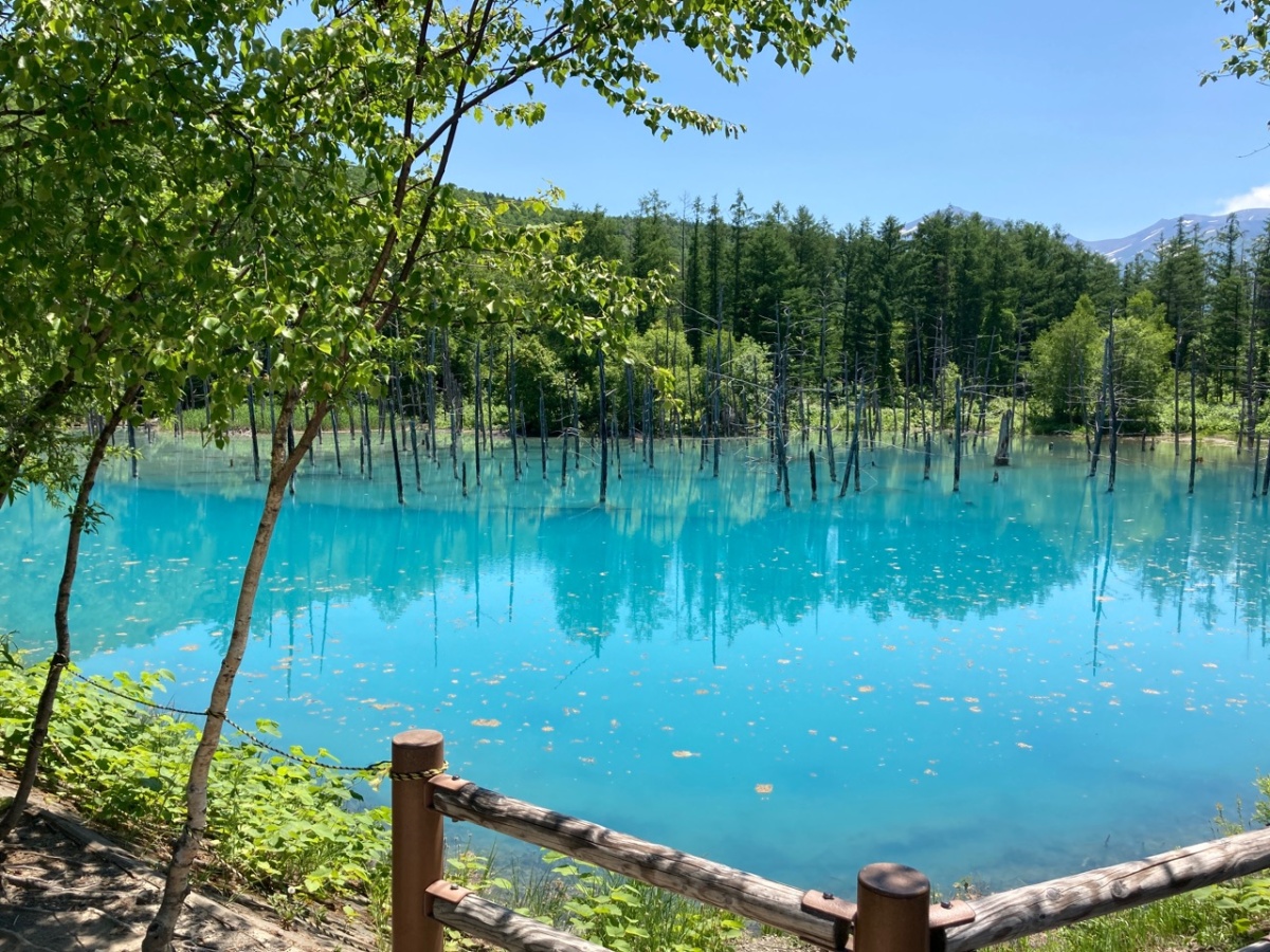 青い池