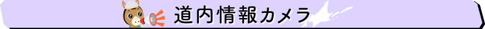 道内情報カメラ