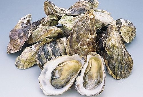 浜中町