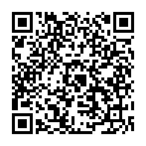 申し込みフォーム