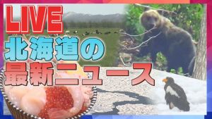 北海道の最新ニュース STVニュース24