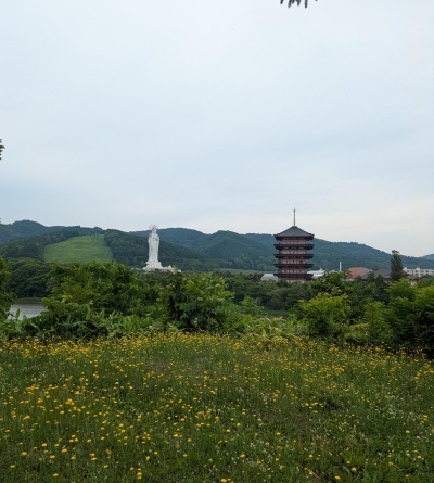 ごきげんようじ