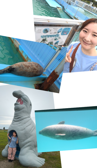 ごきげんようじ