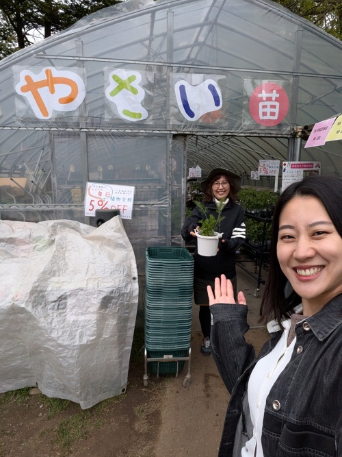やさい苗売り場