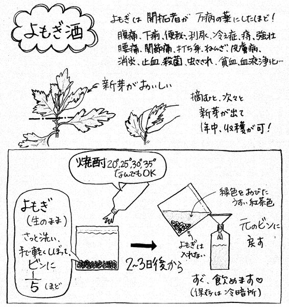 お皿