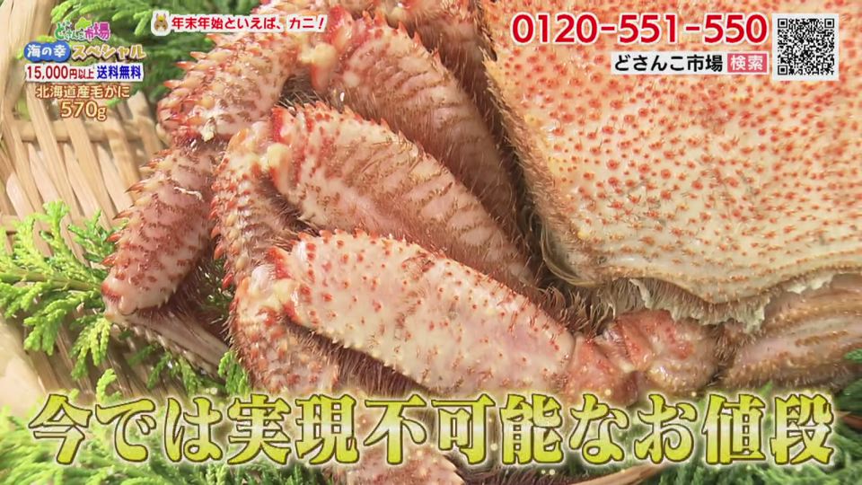 13日放送　けがに