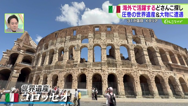 世界のどさんこ発見旅 MASA to ザ・ワールド どさんこワイド179