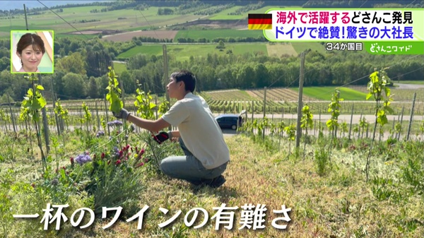 特集