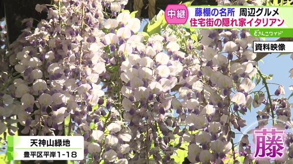 どさんこワイド179 中継画像