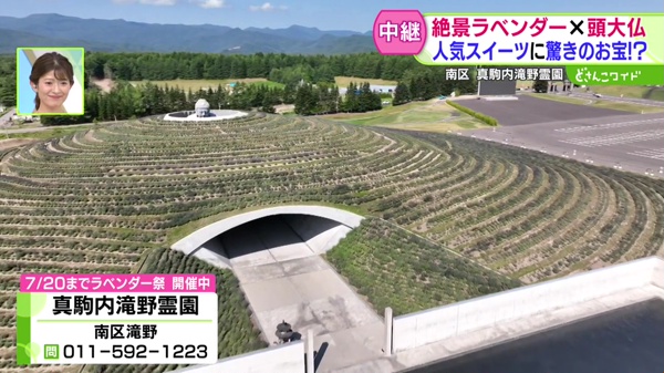 どさんこワイド179 中継画像