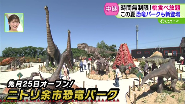 中継