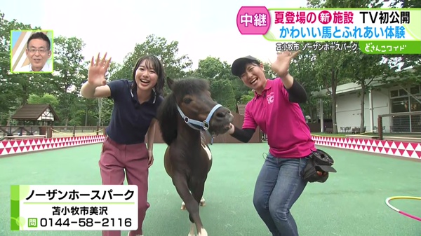 ノーザンホースパーク