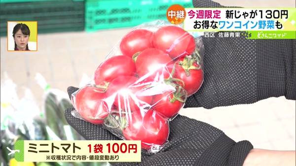 ●ミニトマト 1袋 100円 ※収穫状況で内容・値段変動あり