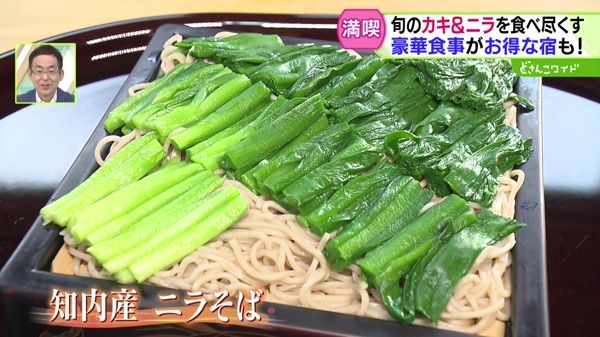 産地直送！浜の王様〜旬のグルメを食べ尽くす！道南・知内 二大名物巡り旅