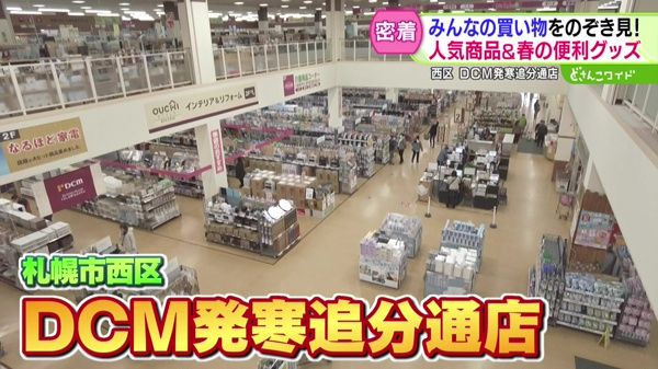 ナニ買うウォッチング〜春のDCM編