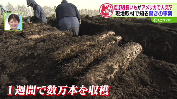 特集