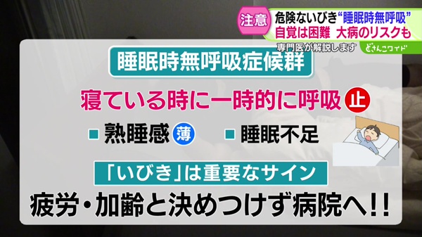 どさんこワイド179 特集画像