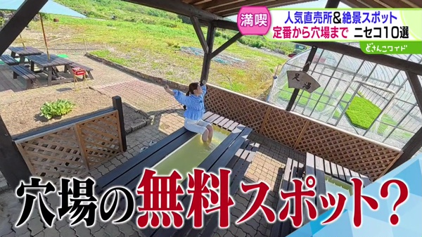 特集