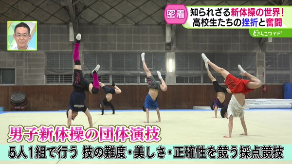 どさんこワイド179 特集画像
