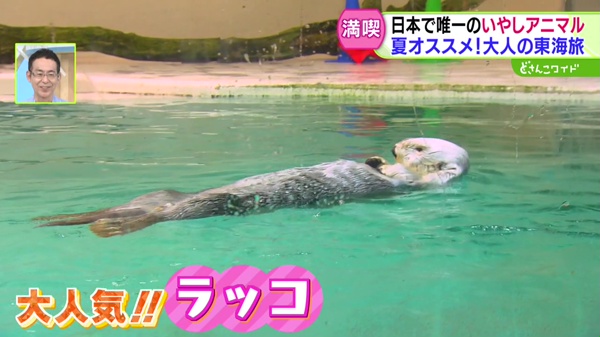 特集