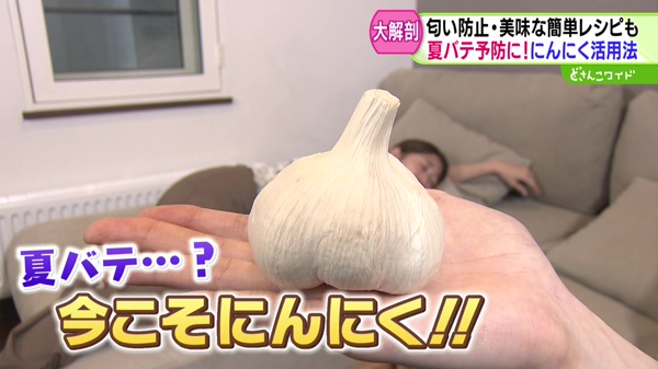 どさんこワイド179 特集画像