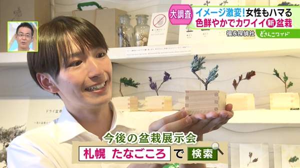 福永探偵社〜オシャレでカワイイ！？令和の盆栽ブーム