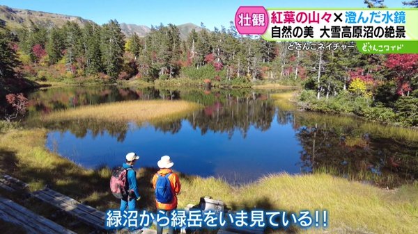 どさんこネイチャー“松浦岳と錦秋の大雪高原沼”
