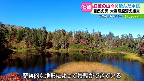 どさんこネイチャー“松浦岳と錦秋の大雪高原沼”