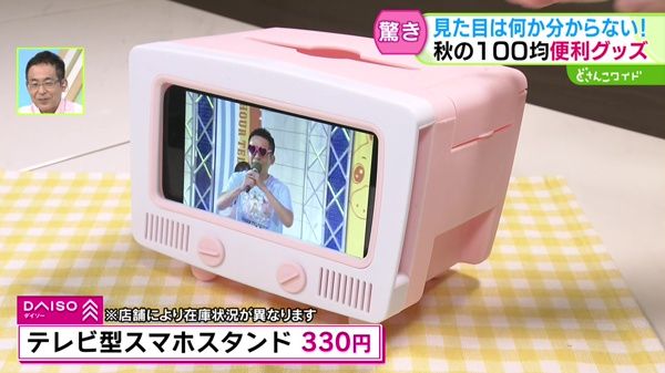 驚き！見た目は何か分からない！秋に役立つ100均グッズ