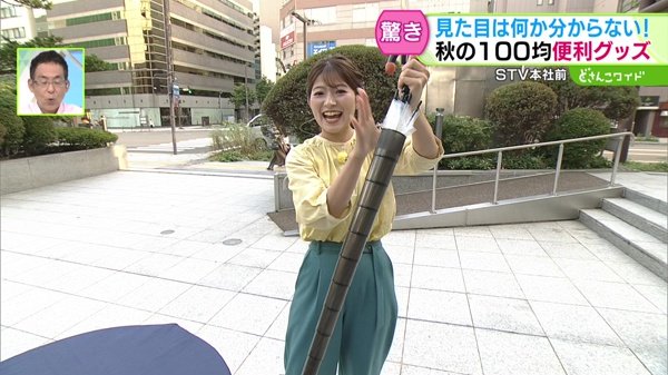 驚き！見た目は何か分からない！秋に役立つ100均グッズ