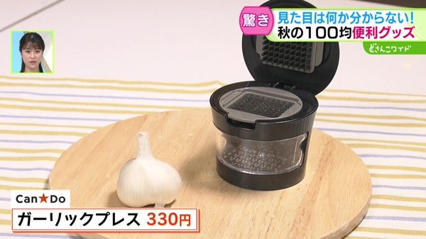 驚き！見た目は何か分からない！秋に役立つ100均グッズ