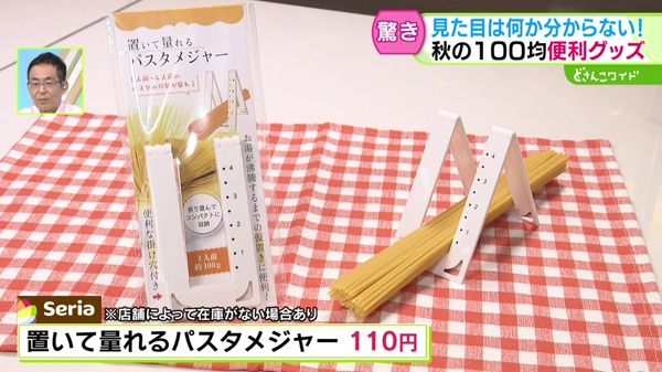 驚き！見た目は何か分からない！秋に役立つ100均グッズ