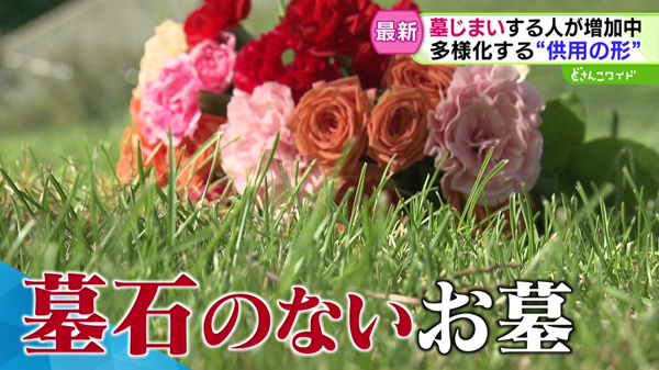 どさんこワイド179 特集画像