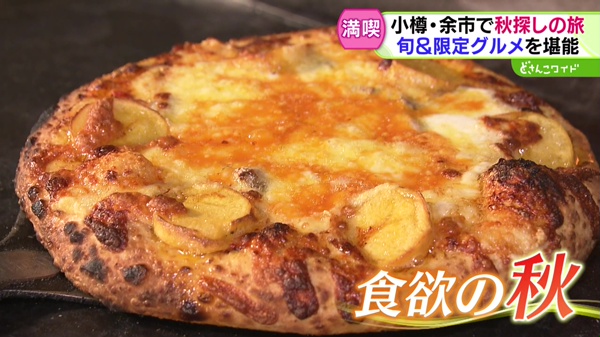 どさんこワイド179 特集画像