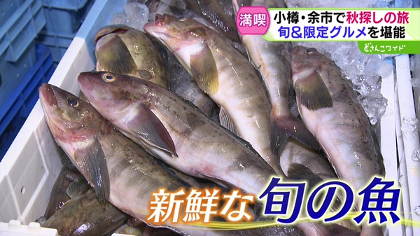 特集