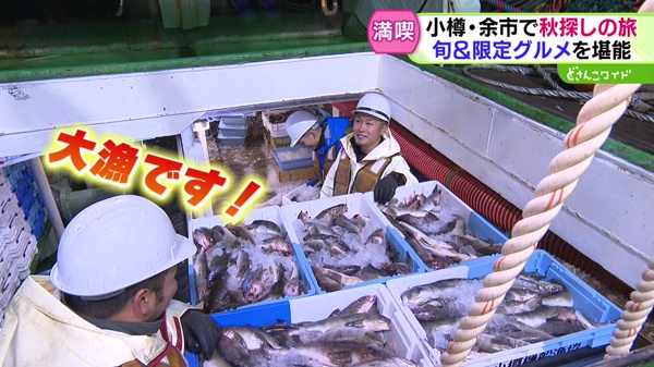 特集