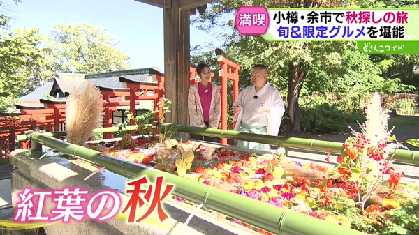 特集