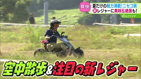 空中散歩＆注目の新レジャー