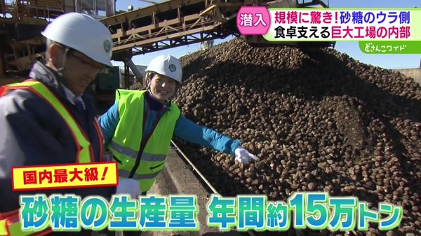 センニュウ！国内最大級！砂糖製造工場
