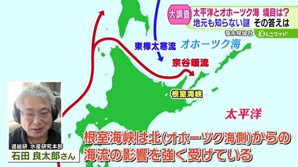 福永探偵社〜太平洋とオホーツク海の境目を探せ！