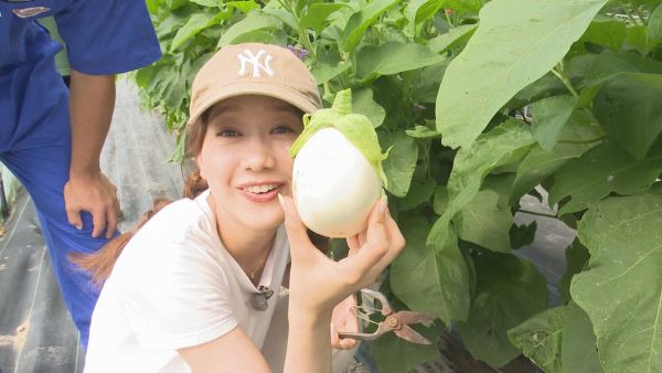 高田とホワイトベル