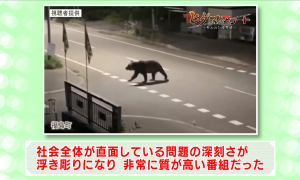 委員の意見（１）