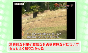 委員の意見（３）