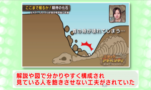 委員の意見（４）