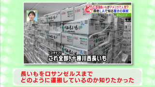 委員の意見（３）