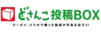 どさんこ投稿BOX ケータイ・スマホで撮った動画や写真を送ろう!